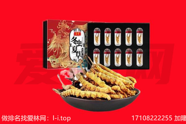 乌海海南区回收虫草.jpg